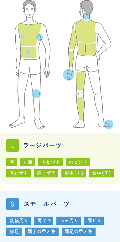 全身脱毛の料金プラン メンズミュゼプラチナム 男性用脱毛サロン メンズミュゼプラチナム 公式